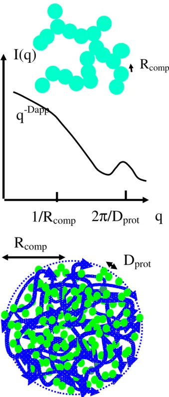 Figure 7 : Tentative sketch of globular pectin-lysozyme complexes  and their scattering in log-log plot (the q -Dapp  part at low q from  ramified aggregates of spheres is seen only in DM0 samples).