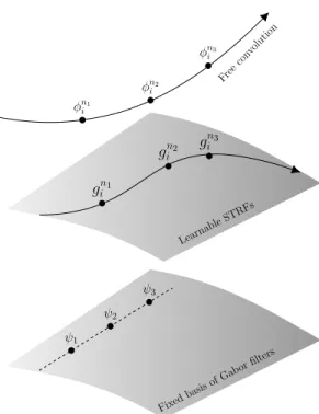 FIG. 1. Schematic illustration of the space of functions and different approaches to obtain spectro- spectro-temporal representations of sounds