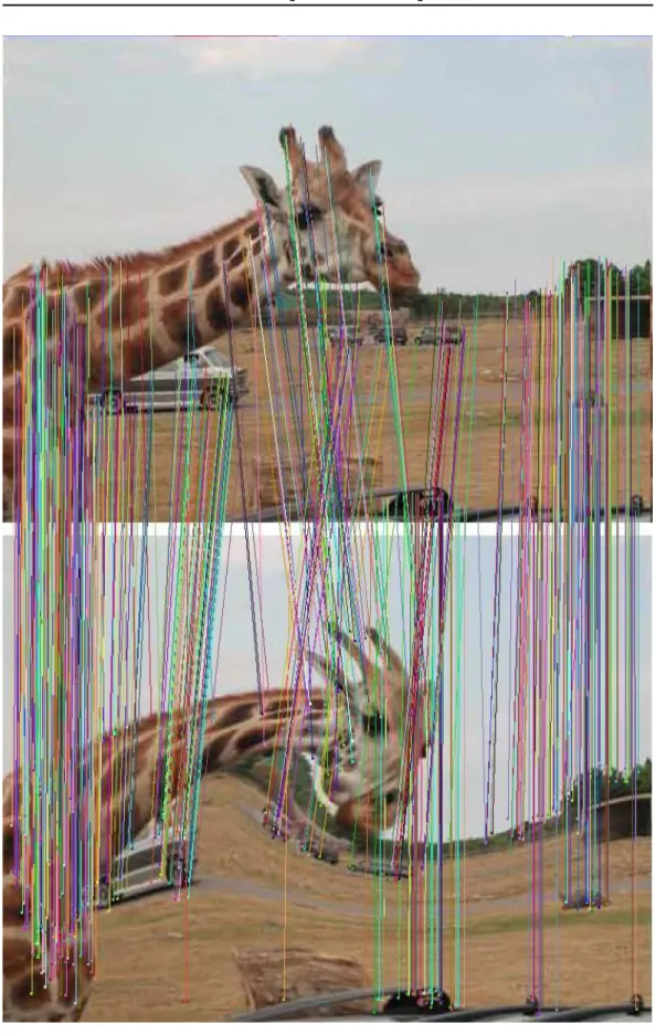 Figure 2.1: Simple image matching with Lowe’s strategy.