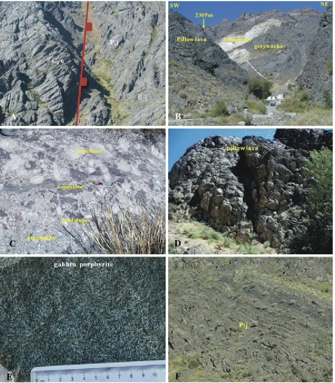 Figure 4. Field photographies of the olistostrome domain in the Baiyanggou area 