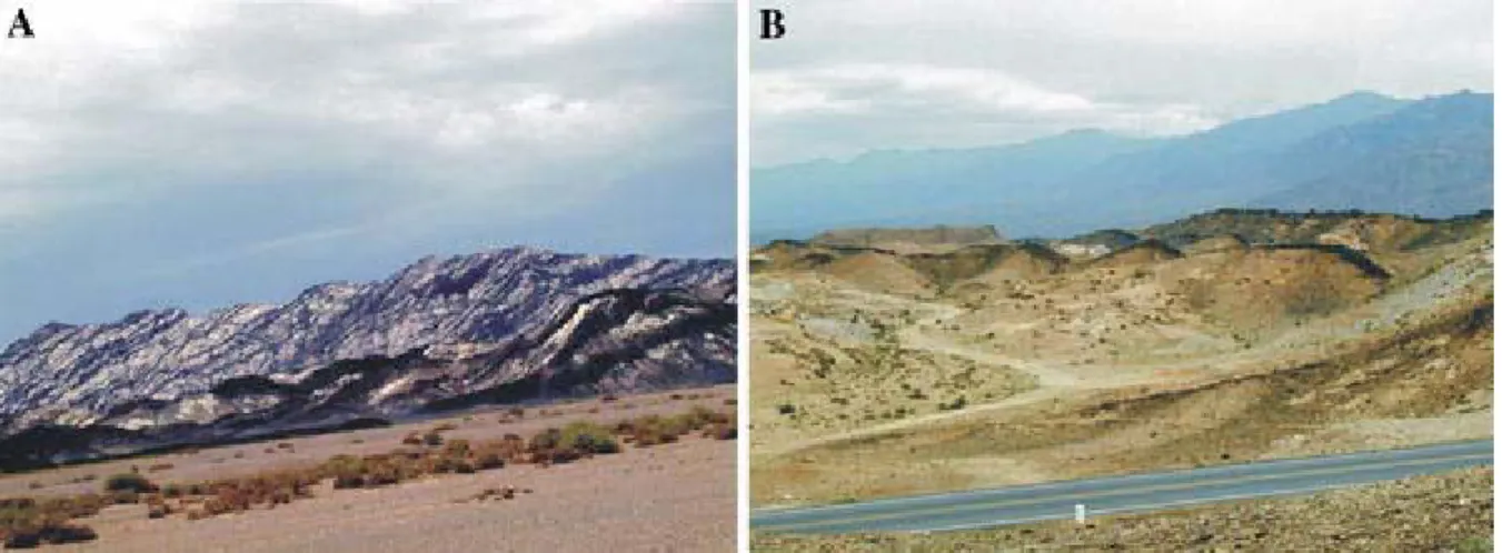Figure 8. Images of Early Permian bimodal igneous rocks 