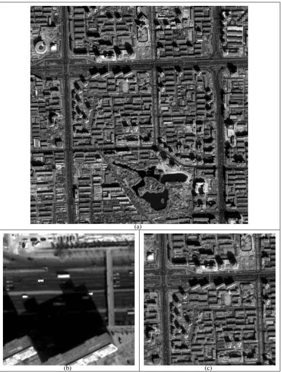 Figure 1. Input data. (a): a QuickBird image (size: 2560× 2560); (b): a full resolution zoom on the image; (c): a full resolution zoom on 1/8 resolution image, i.e