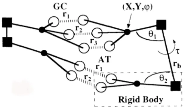 Figure 2.4: Schematic representation of the model DNA by Zhang and Collins [60].