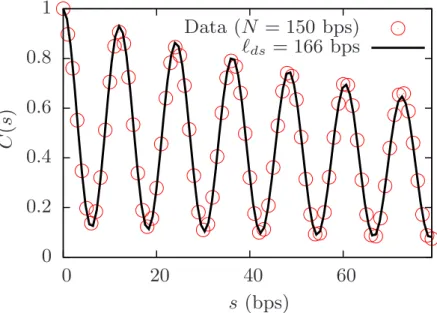 Figure 2.12: The correlation function C(s) obtained for N = 150 bps dsDNA (The solid line is a fit from Eq