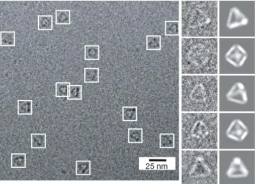 Figure 1.6 - Nanostructures polyhedrales [Yu He 08]. Images AFM et Cryo-EM. Les boites blanches indiquent les nanostructures.