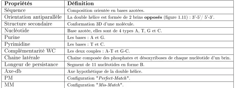 Tableau 1.2 - Tableau récapitulatif des propriétés et des termes qualicatifs de la structure de l'ADN.