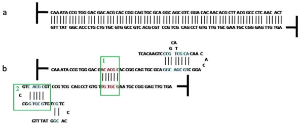 Figure 3.16 - Diérents types de conguration pour une même séquence. a. Conguration