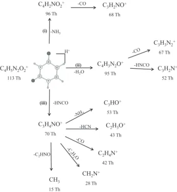Figure 6-1: Voies principales de fragmentation de l’uracile protonée par la méthode CID 140,147 