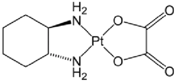 Figure 5 : Structure de l’oxaliplatine. 