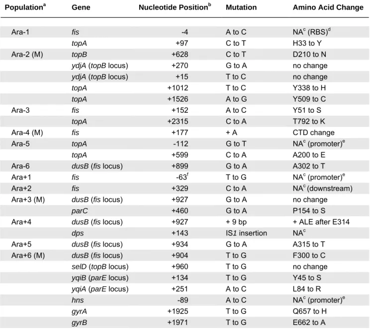 Table 1. Mutations Found in 12 Evolving Populations after 20,000 Generations of Evolution  among the Topology-Related Genes
