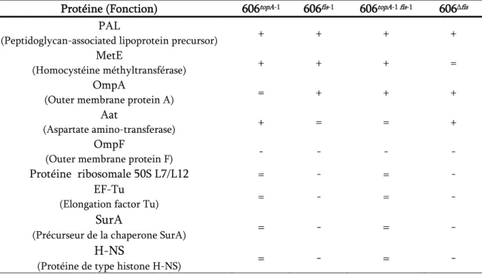 Tableau 2 : Modification de l’expression de protéines par les allèles évolués topA et fis  isolés  dans  la  population Ara-1 