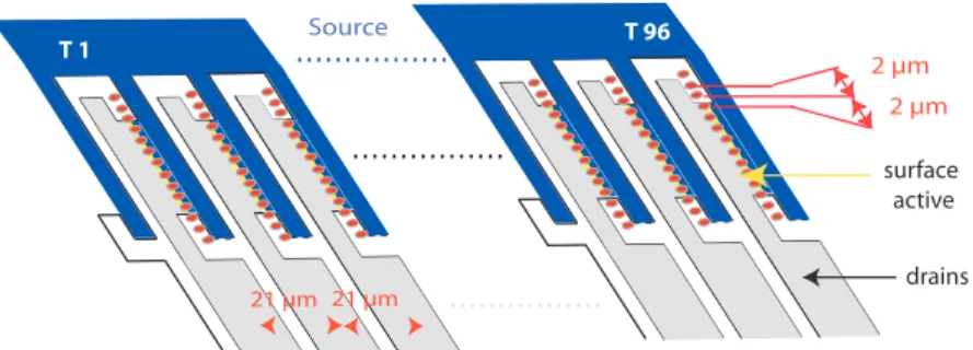 Figure C.3: Déplacement de la source laser pour le réseau de 96 transistors. En choisissant un pas de 21 µm horizontalement et 2 µm verticalement, les surfaces actives de l’ensemble des transistors sont succesivement excitées par la source laser ponctuelle