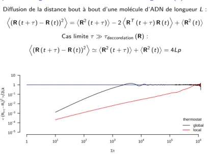 Figure : Diffusion de la distance bout ` a bout normalis´ ee de la mol´ ecule d’ADN (en ordonn´ ee) en fonction du temps adimensionn´ e de simulation (en abscisse).