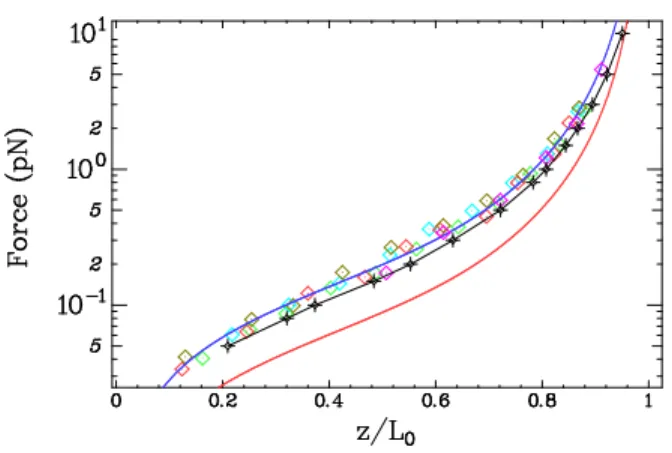 FIG. 1: Force versus extension curve for two DNA molecules tethered to the same bead;