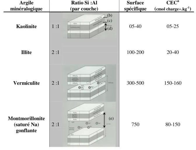 Tableau 1 : Caractéristiques de quelques phyllosilicates (D’après White, 2006) 