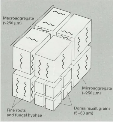 Figure 4 : Les agrégats dans le sol (White, 2006) 