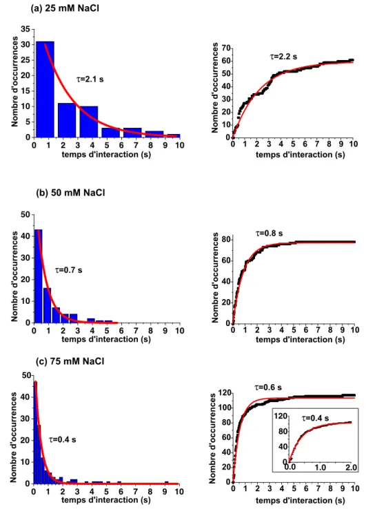 Fig. 3.11 – Histogrammes et cumulatives des temps d’interaction NC- NC-EcoRV/ADN `a (a) 25 mM NaCl, (b) 50 mM NaCl et (c) 75 mM NaCl