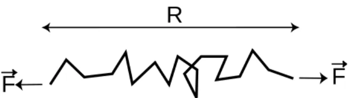 Fig. 2.14 – Mod`ele de la chaˆıne librement jointe ; chaque maillon a une longueur b = 2L p et une orientation ind´ependante de celle des maillons voisins.