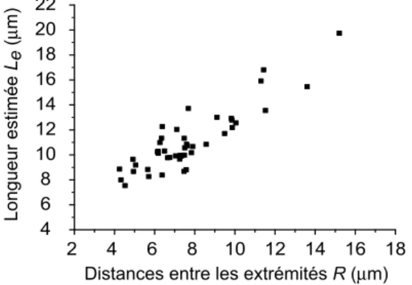 Fig. 2.20 – Estimation des longueurs des mol´ecules d’ADN `a partir des mesures exp´erimentales de R et &lt; X p 2 &gt;.