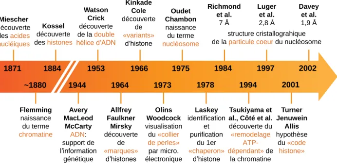 Figure  7 :  Principaux  faits  marquants  de  l’historique  de  la  chromatine.  micro: 