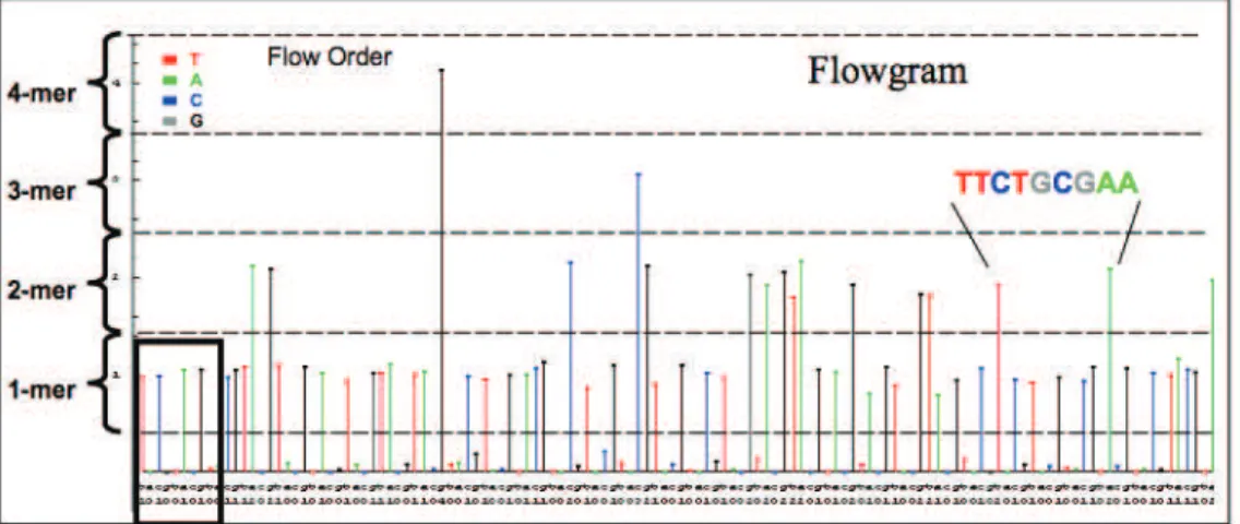 Figure 1.5: Bar graph of light intensities called a flow-gram for each well contained on the PicoTiterPlateTM