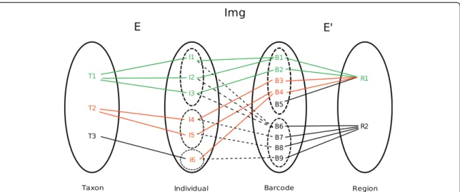 Figure 1 Relationships between taxa, individuals, barcodes and regions as used in the B s index estimation