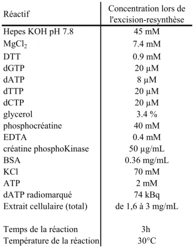 Tableau 6 : Les conditions expérimentales lors du test d’excision- d’excision-resynthèse in vitro de référence