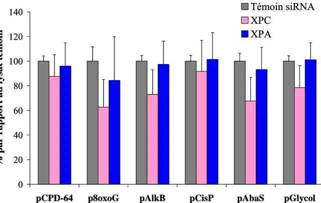 Figure 34: Niveau relatif d’excision-resynthèse de lysats nucléaires HeLa siRNA déposés à 0,4 mg/mL de protéines (moyenne de  6 expériences indépendantes)