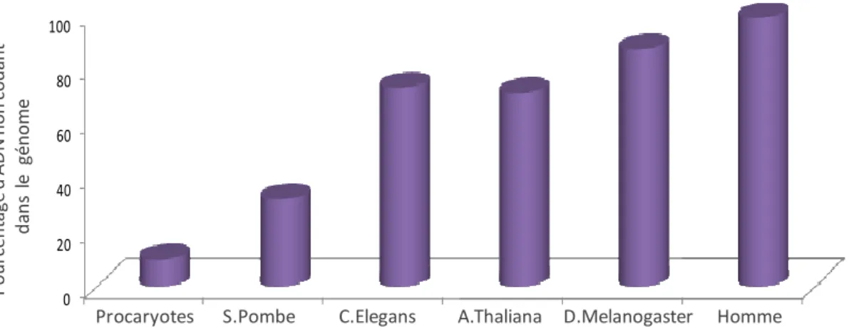 Figure 24 : Evolution du pourcentage d’ADN non codant dans différents génomes. 