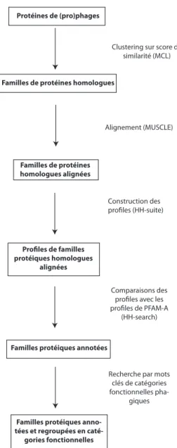 Figure 19: Annotation fonctionnelle des familles protéiques des (pro)phages. 