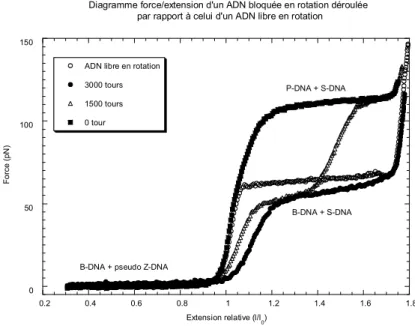 Figure 2.2: Diagramme force/extension d'un ADN bloqué en rotation pré-déroulé de 0, 1500,  3000 tours