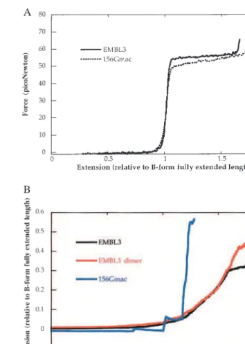 Fig. 3 shows simulation results for RecA binding to DNA for this model, which includes only thermal fluctuations and attractive protein-DNA and protein-protein interactions