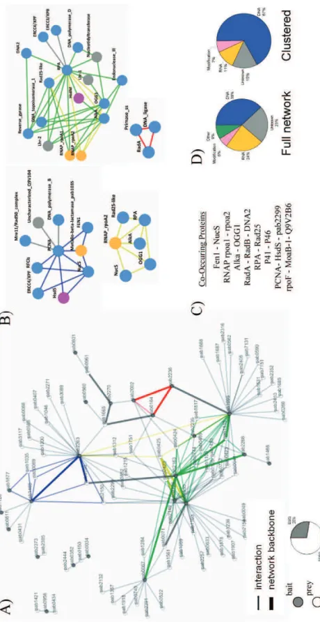 Figure 1: Statisctic and topological analysis of the protein interaction network. A, protein interaction map