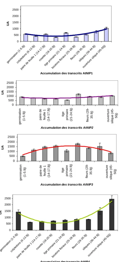 Figure 24 : Accumulation des transcrits AtNIP au cours du développement de la plante, établis par puce à ADN   Ces  résultats  sont  issus  des  puces  annotées  sur  « gene  Chronologer »  (Genevestigator)  (courbe  AtNIP1 bleue,  courbe  AtNIP2  violette