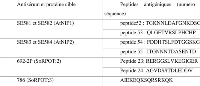 Tableau récapitulatif des peptides antigéniques utilisés pour la production des antisera NIP et NEP  