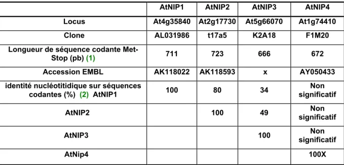 Tableau 3 : Récapitulation des données génomiques de la famille NIP chez A. thaliana.