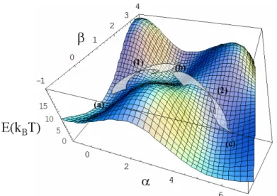 Fig. 4.24  Représentation du paysage énergétique généré par le modèle exposé ci dessus : Dans les coordonnées α et β et pour les valeurs de paramètres suivantes : ε ads = 0.7 k B T pour les deux tours, A = 50 nm, h = 2.8 nm, R = 4.5 nm, F = 4 pN.