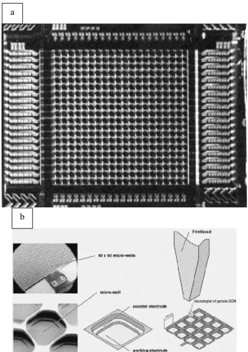 Figure 1-21 : (a) : photo de la matrice à 400 électrodes ; (b) : dépôt des oligomères par  éjection sur les cellules d’hybridation[37]