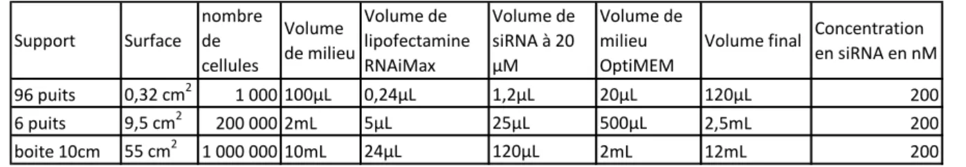 Tableau 5. Protocole adapté de transfection des siRNA par la lipofectamine RNAiMax. 