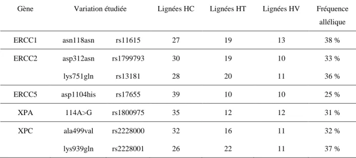 Tableau 7. Distribution des lignées cellulaires du NCI selon les différents polymorphismes étudiés