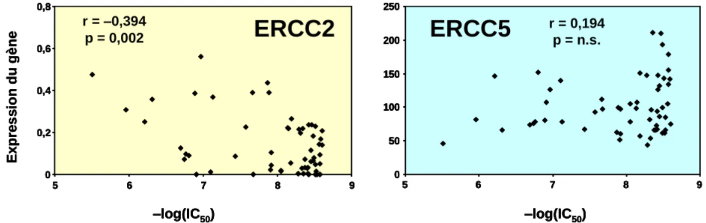 Figure 15. Relation entre l’expression des gènes ERCC2 et ERCC5 (unités arbitraires)   et la chimio-sensibilité au paclitaxel dans le panel NCI-60