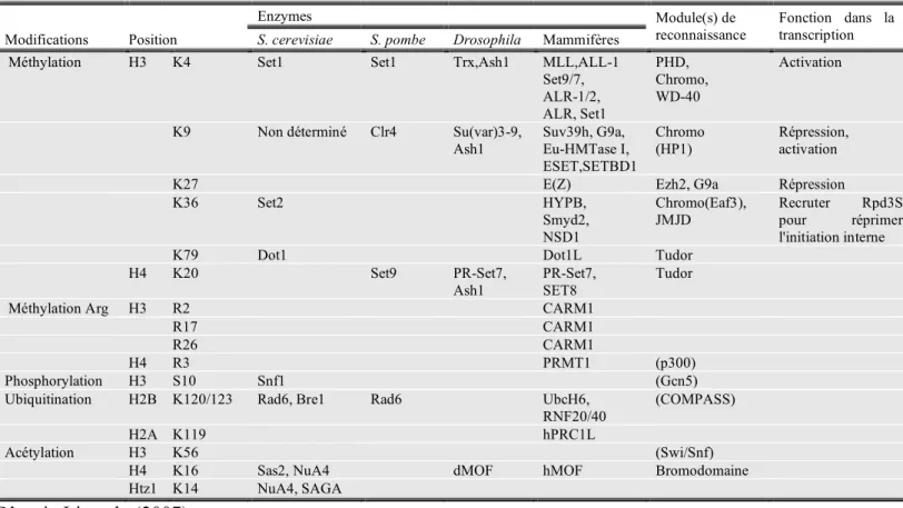 Table 2: Modifications des histones associées à la transcription 