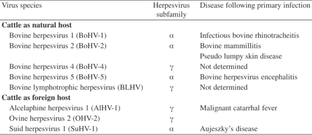 Table I. Herpesviruses isolated from naturally infected cattle.
