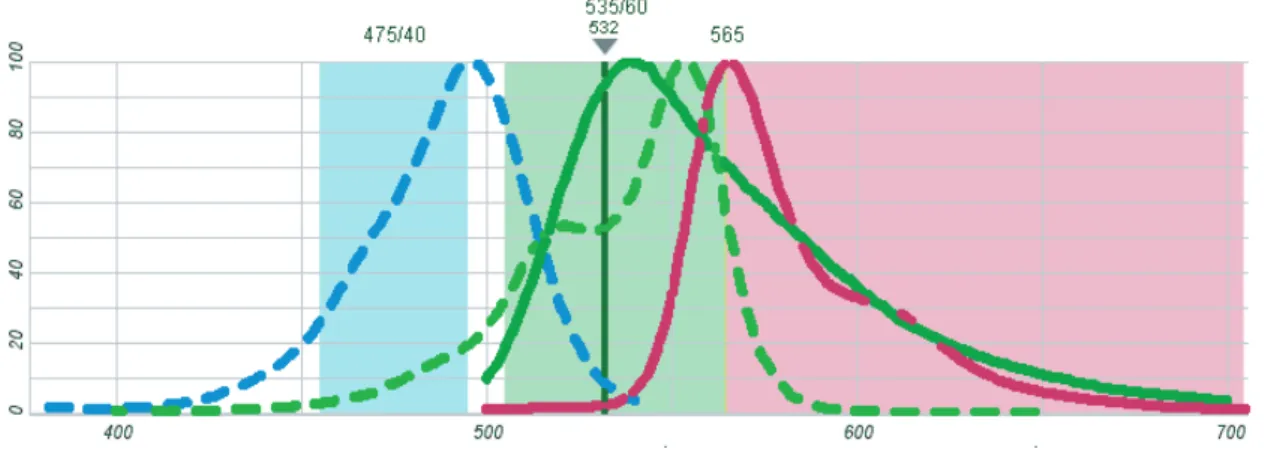 Figure II.8: Spectres d’´emission (trait pointill´e) et d’absorption (trait plein) du SyBR (bleu et vert) et du Cy3B (vert et rouge)