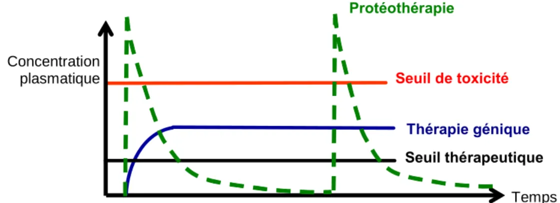 Figure 2 : Avantage de la thérapie génique sur l’administration répétée de protéines  