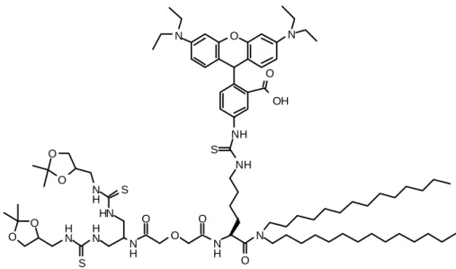 Figure 32 : Structure de la lipopolythiourée fluorescente 