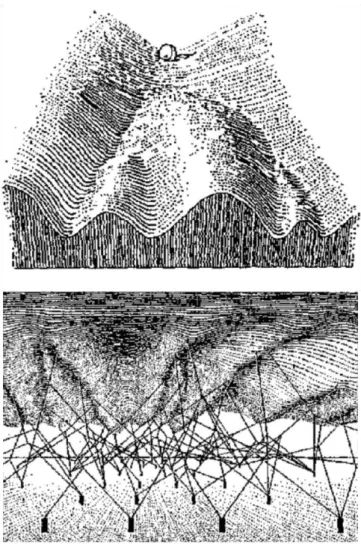 Figure III.2. Paysage épigénétique (epigenetic landscape) schématisé par Waddington pour expliquer  les phénomènes  de « canalisation » et de différentiation cellulaire  (Waddington, 1957)