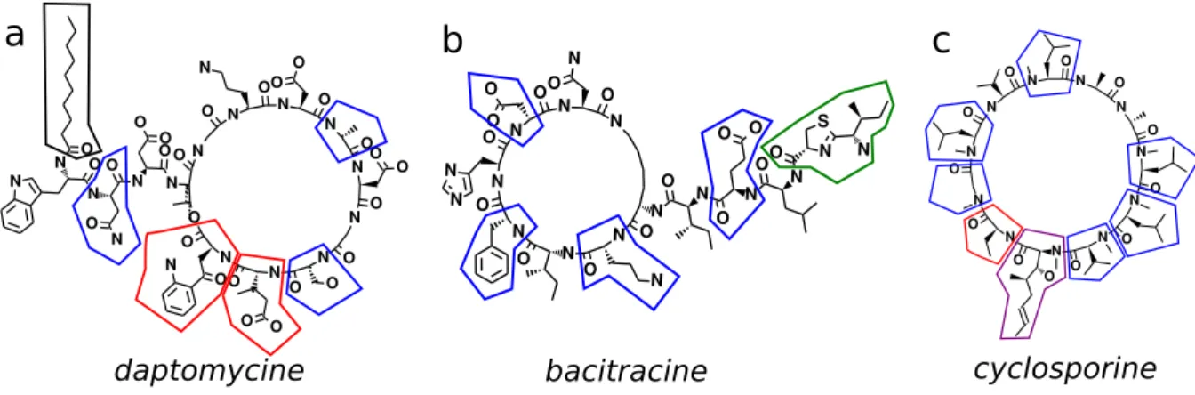 Fig. 1.24 – Structure de a) la daptomycine, b) la bacitracine A et c) la cyclosporine