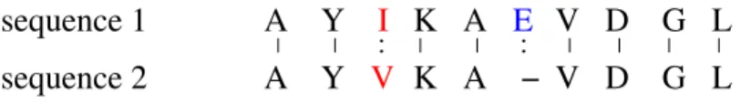 Fig. 2.1 – Exemple d’alignement entre deux s´equences prot´eiques. Un mismatch est repr´esent´e par : et un match par |.