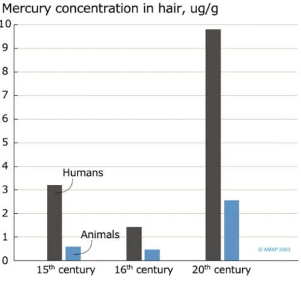 Figure I.5 : Evolution des concentrations en mercure dans les cheveux humains et les poils d’animaux au  Groenland (AMAP, 2002)